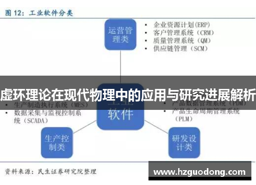 虚环理论在现代物理中的应用与研究进展解析