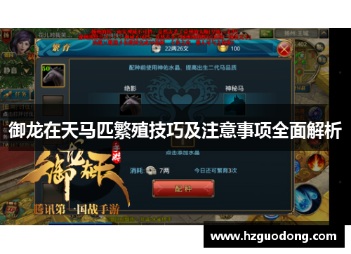 御龙在天马匹繁殖技巧及注意事项全面解析