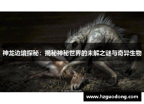 神龙边境探秘：揭秘神秘世界的未解之谜与奇异生物